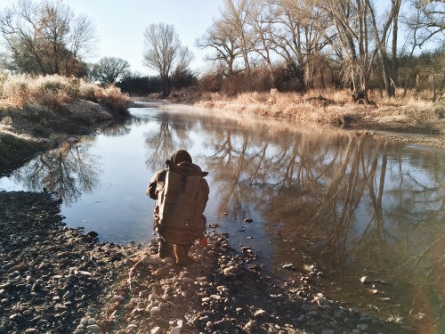 January 2016 - San Pedro River, AZ Request Print   |   Buy Other Prints