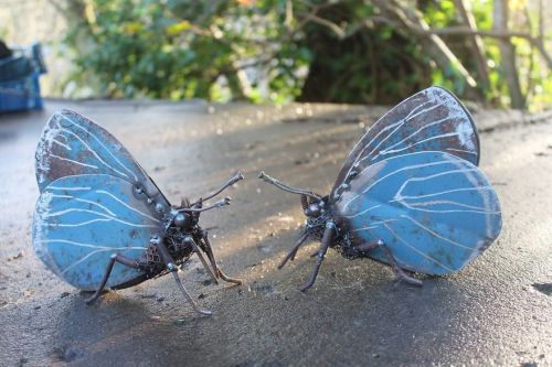 laurelcrownedkitten: awkwardfortuneteller: awesome-picz: Artist Turns Scrap Metal Into Animals. The 