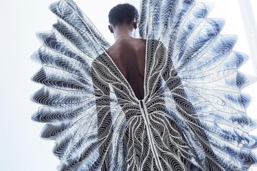 - Iris van Herpen 18′Ph. bryan huynh & Molly Lowe