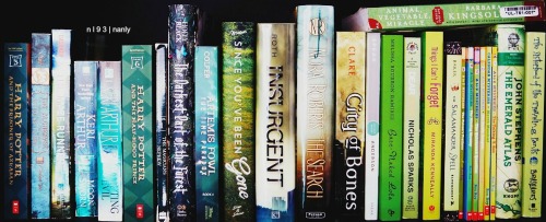 nl93:  rainbow bookshelves // june 12, 2015 