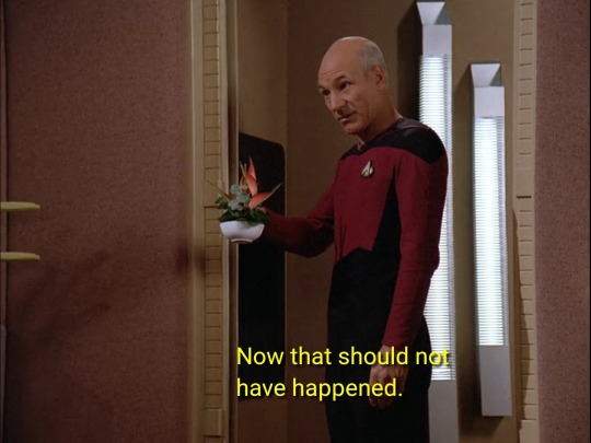 ladylothlorien:tngscreencaps: