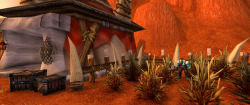 wowcaps: a small farm outside of Durotar. It looks like the plants are doing well. World of Warcraft - Durotar region 