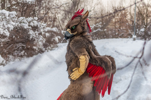 Dayfon new wings photoshoot