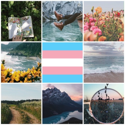 nature trans aesthetic