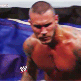litafan4ever:  Randy Orton + Anger Issues  