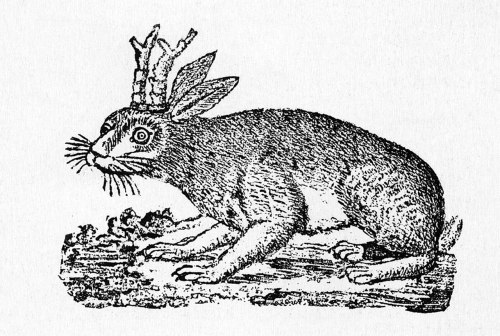 Wolpertinger Magazine of All Oddities , Hanau 1834–1836.