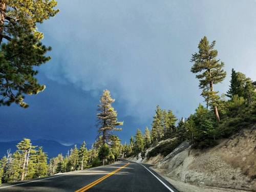 I took the road less traveled by… and that has made all the difference.  #mattblum #lifetimeabroad #travel #wanderlust #adventure #explore #sandisk #samsung #california #lake #tahoe #laketahoe #road #trip #photography #photographer #beauty #beautif