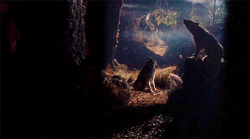 talesfromthecrypts: As you’re pretty, so be wiseWolves may lurk in every guiseNow