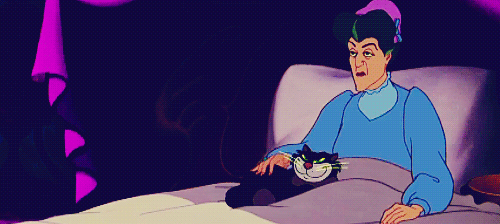 Me petting my cat.Â 