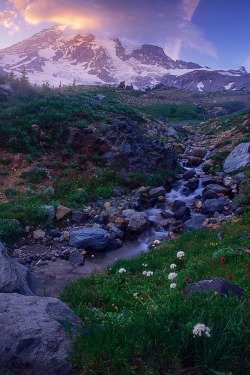 sublim-ature:Mt. Rainier, WashingtonTrevor