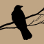 hollowspirit