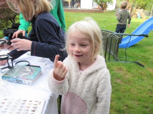 MOTHIFY PROJECT 2016 Woodcraft Group, Berkshire September 24th Post 3 of 6
There are lots of people in this group but they were all quite careful with the moths and really enjoyed looking at them. The session we did before was in June so these were...