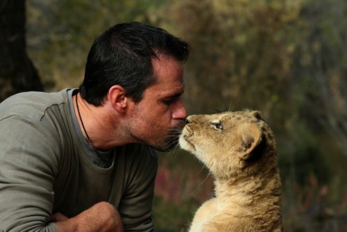 samaralex: Kevin Richardson, The Lion Whisperer