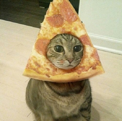 cheshirekhatsmile:  Dignidad disminuyendo on We Heart Ithttp://weheartit.com/entry/128352301/via/unicornioszombies
