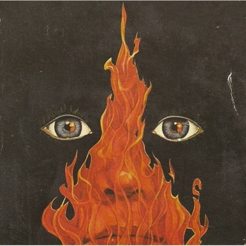 dharmarainbow:  “You must be ready to burn yourself in your own flame; how could