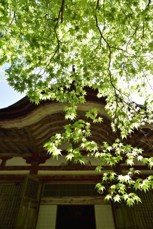 norisunorin:滋賀県 東近江市 百済寺 Siga Higashiomi Hyakusaiji 