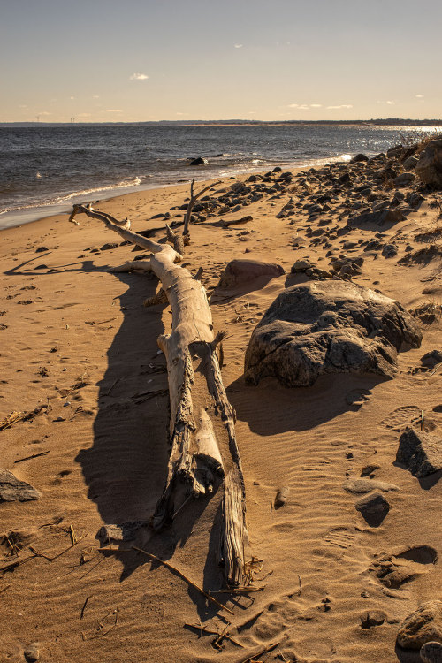 A Winter Day at the BeachPlum Island, MAMinolta MD Rokkor 35-70mm f/3.5 on Sony A7