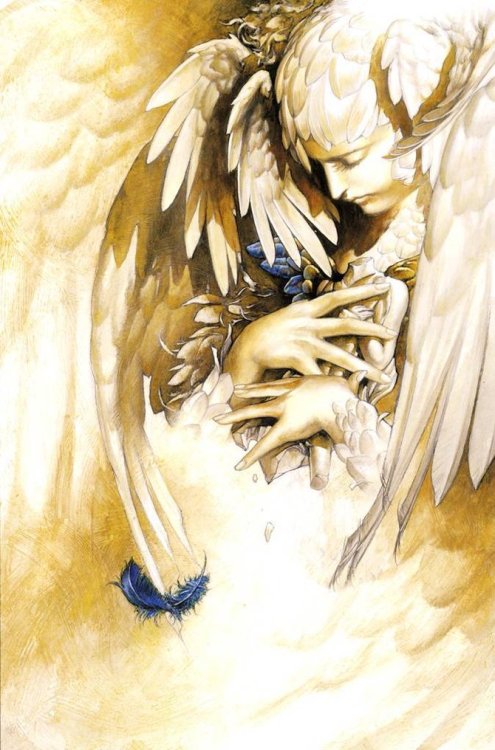 f-l-e-u-r-d-e-l-y-s:Ayami Kojima’s art on Facebookyami Kojima - is a Japanese game and concept artis
