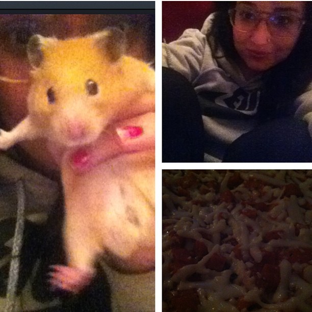 My night of watching the Office, snuggled in a hoodie, a hamster and pizza.