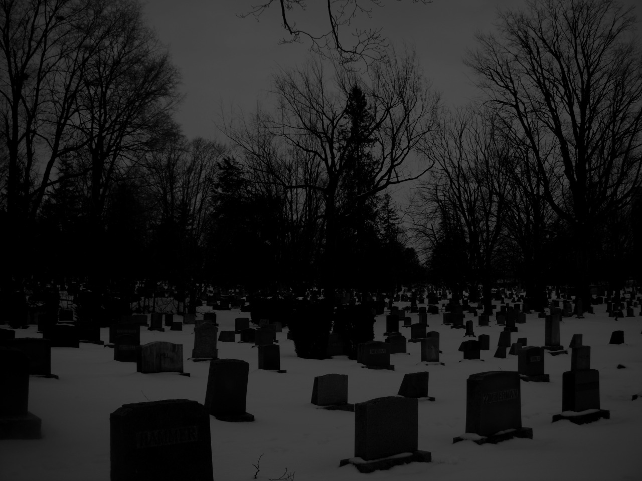 m-o-r-t-u-a:  Mount Hope Cemetery