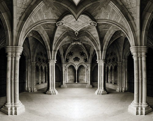 eslamelshatby:  Arched 