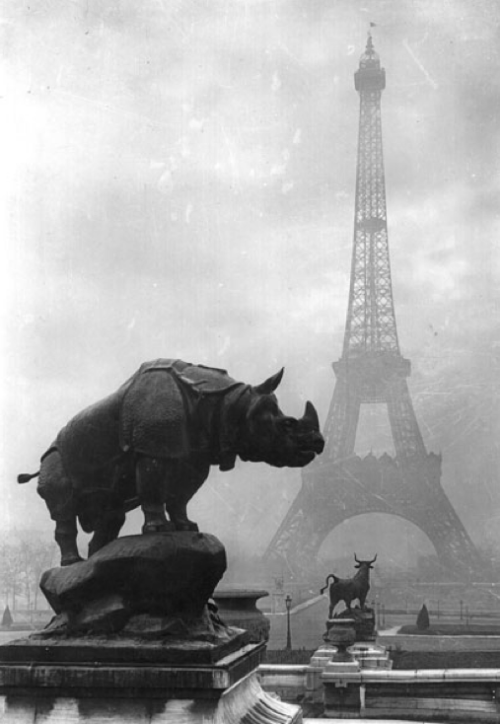 greeneyes55:Trocadéro Paris 1920sPhoto: Pierre Yves Petit