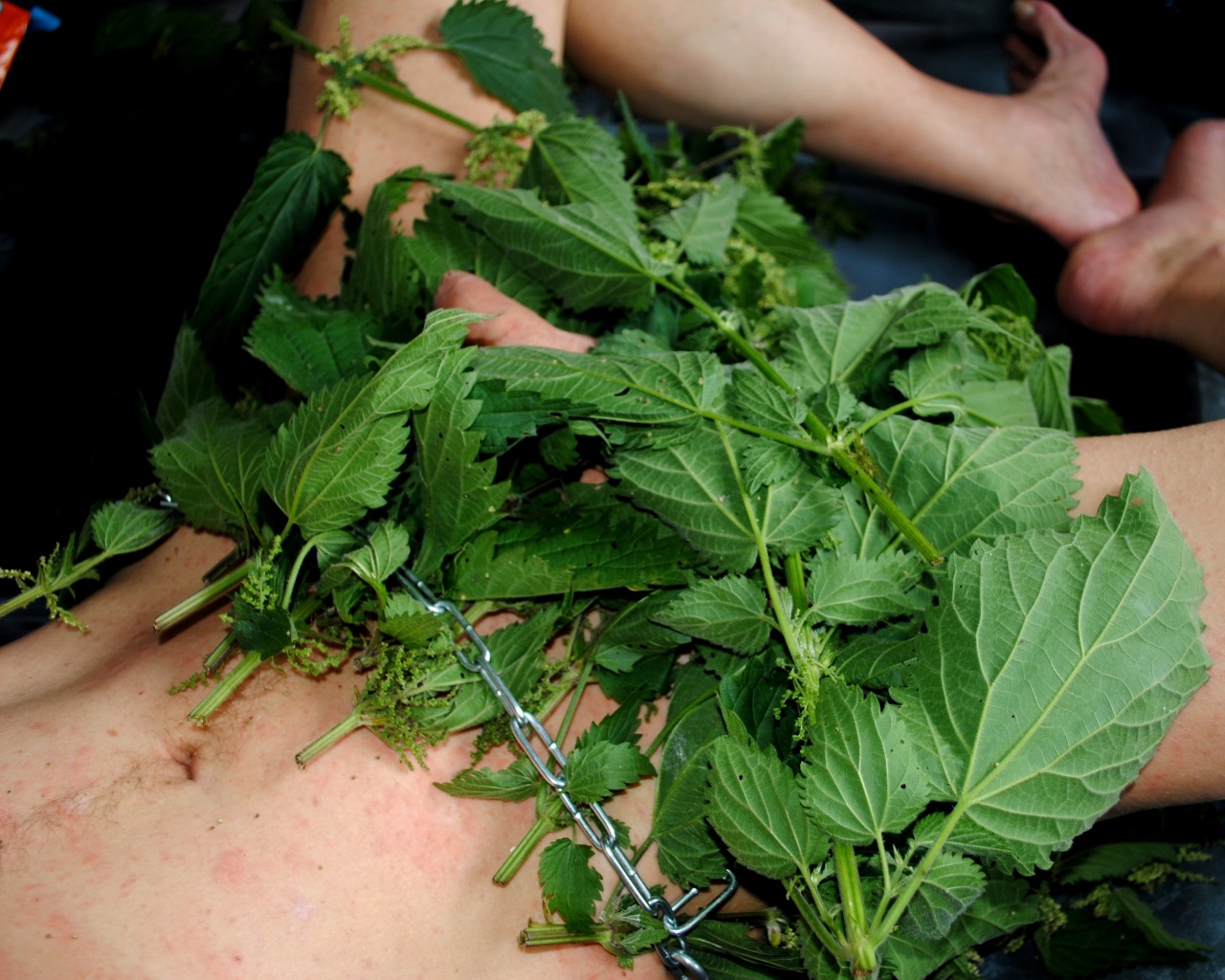 Look what’s hidden in the nettle bushes.