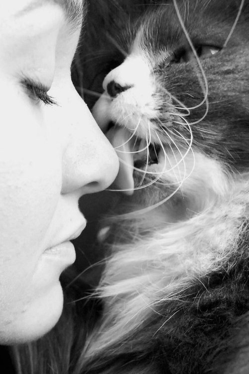 ⌂ lick ⌂ | via Tumblr en We Heart It. http://weheartit.com/entry/72143306/via/luize_cukure