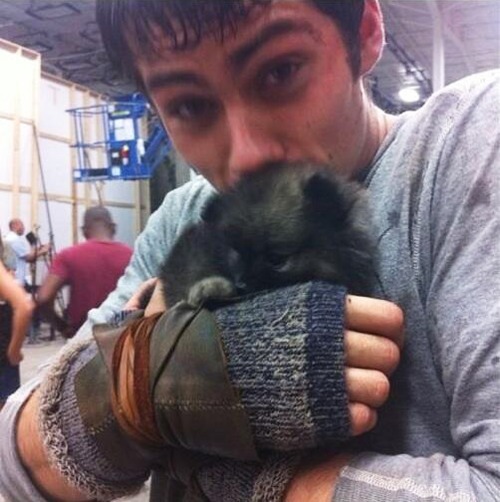 shipwreckface:  Dylan + puppies = FREAKING ADORABLE! 