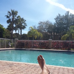 Stat gold. #southflorida #poolside