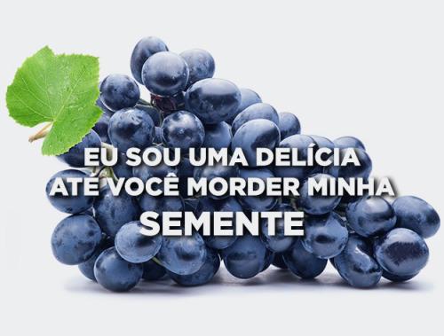 buzzfeedbrasil - 13 frutas que não têm papas na língua