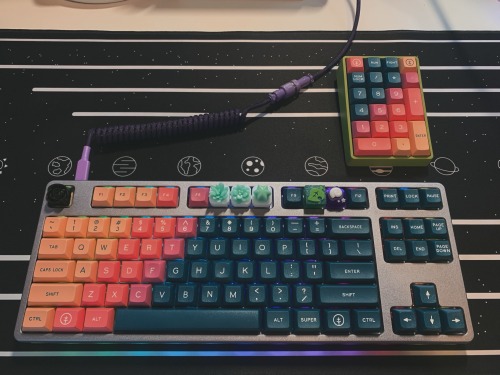 DSA Vilebloom keycaps ❤This keyboard is my child now.