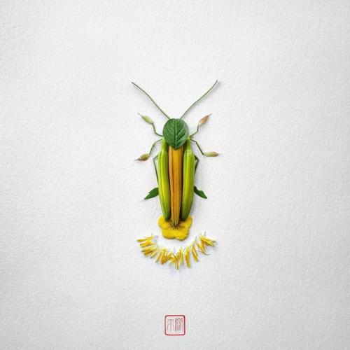pr1nceshawn:Natura Insects – The delicate floral compositions by Raku Inoue.