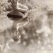 visionsofour-past:▪︎Vanity. Date: ca. 1932Photographer: Hillary G. BaileyMedium: Gelatin silver print