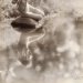 visionsofour-past:▪︎Vanity. Date: ca. 1932Photographer: Hillary G. BaileyMedium: