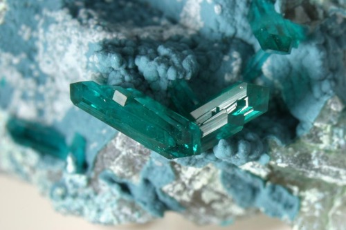 ifuckingloveminerals:  Dioptase, PlancheiteOmaue Mine, Kaokoveld Plateau, Kunene Region, Namibia 