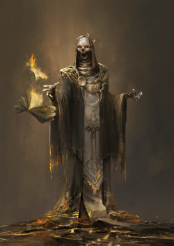 morbidfantasy21:  wizard 02 by zhu liu  