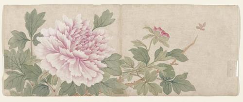 Flower Painting, Mianyi, late 18th century, Minneapolis Institute of Art: Chinese, South and Southea