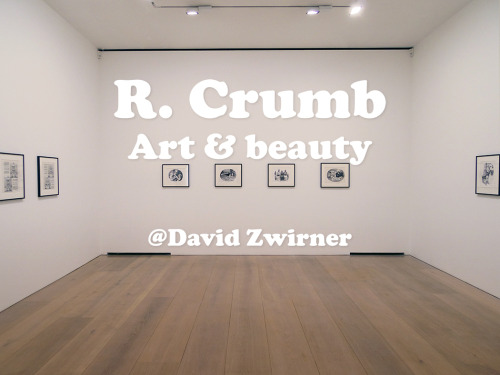 reegblog:  R. Crumb: Art & Beauty @David Zwirner  R. Crumb is a favorite artist of mine. It’s nice to see that style being continued