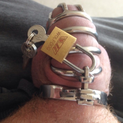 luckylewo:  #chastity #lockedcock #slave