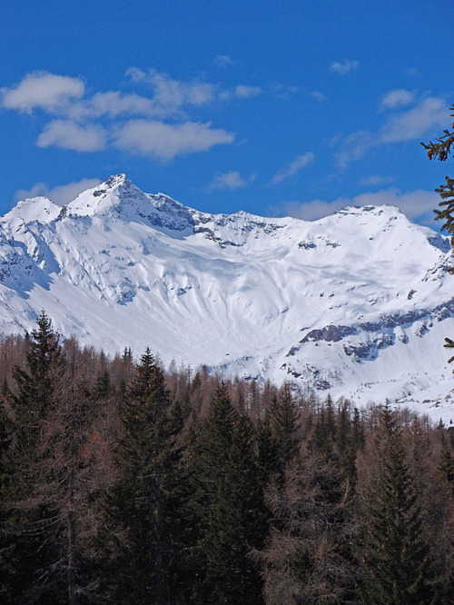 Mountains