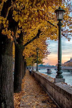 wonderous-world:  Autumn by Fabrizio Iacoviello 