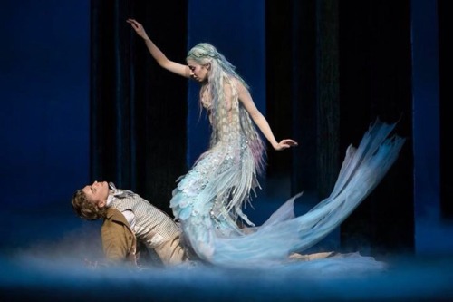 nopermanence: wildisthewolf: preciouslittlelifeforms: A new ballet “The Little Mermaid”,