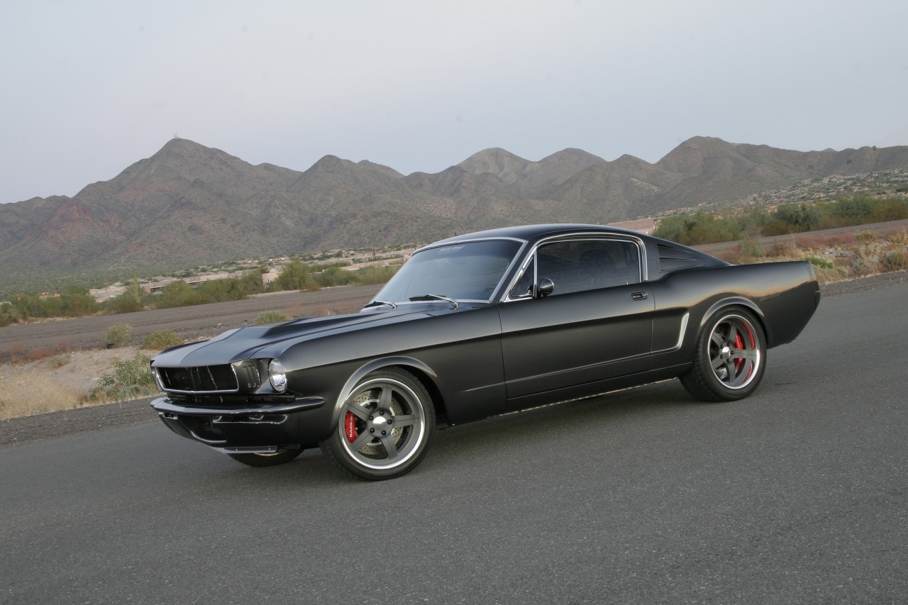 Muscle Cars Fans