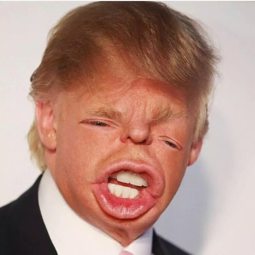 howdyhannaa: REAL Donald Trump not fake (all real)