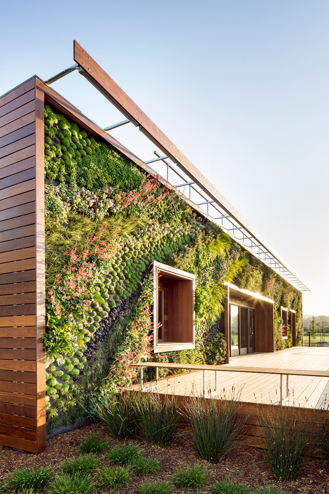wglandscape:  Bay Meadows Welcome Center. Living wall by Habitat Horticulture. source