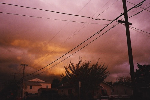 steppingoncracks: the skyline was beautiful on fire