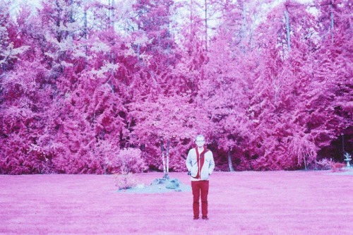 my-art-space:  N a t e /// by heather boyd  www.instagram.com/nomadic_memories/ 