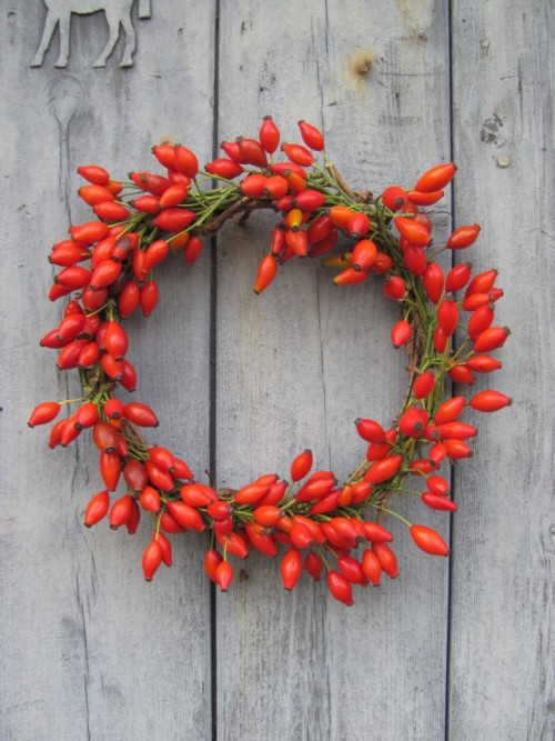 Rose Hip Wreath from The Blue Carrot in Devon. 