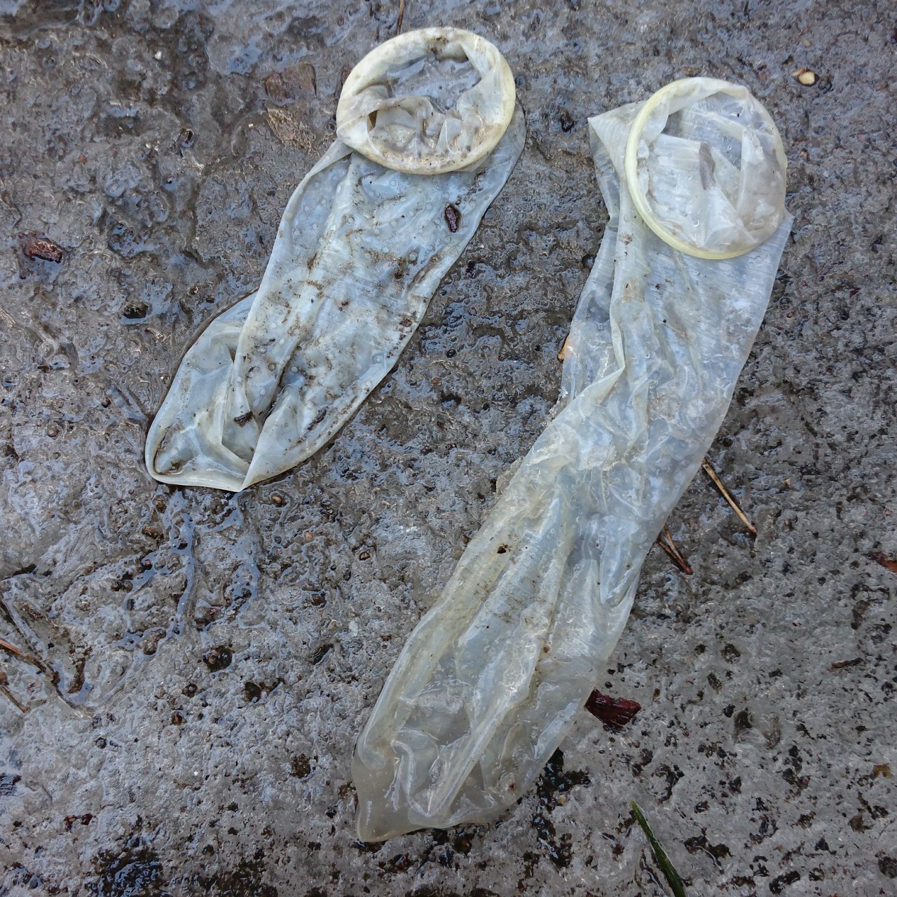 condom-hunter:  Condom hunting team. 5 used condoms found. 😉 2 well filled! 😜